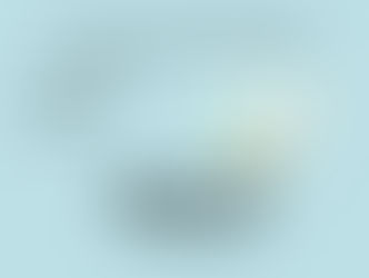 What's The Biggest Difference Between A Chronological Resume and Hybrid Resume?