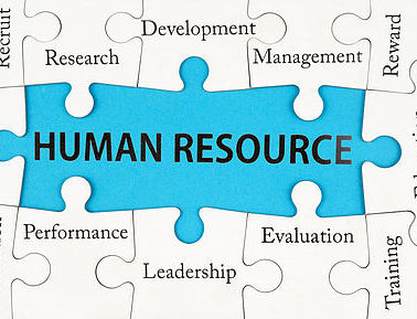 Who Writes Resumes for Human Resources Professionals?