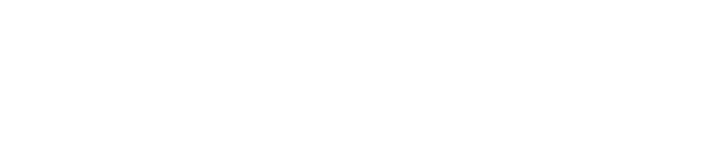 CEO_logo_white.png