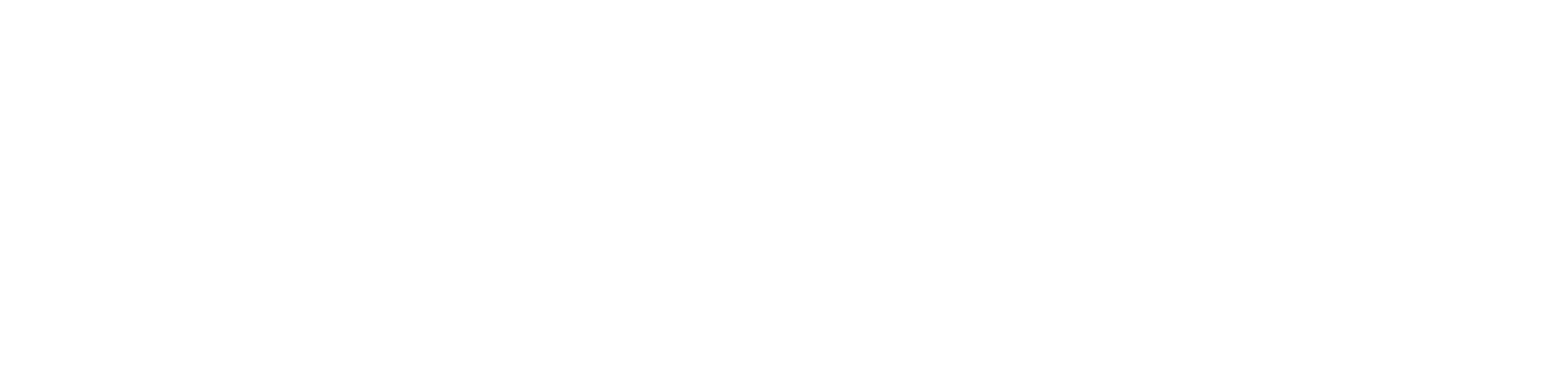 white logo.png