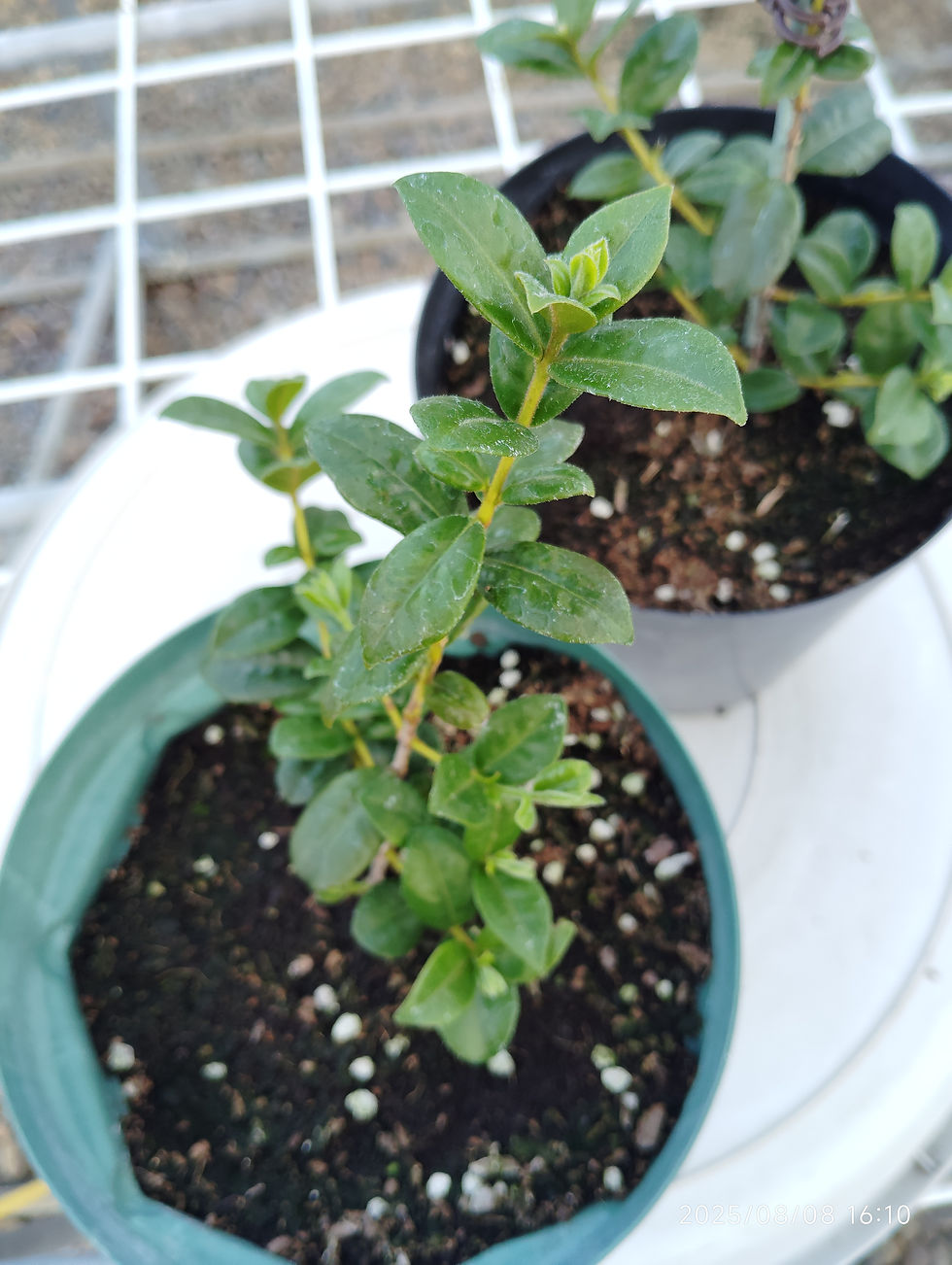 All Products | My Site