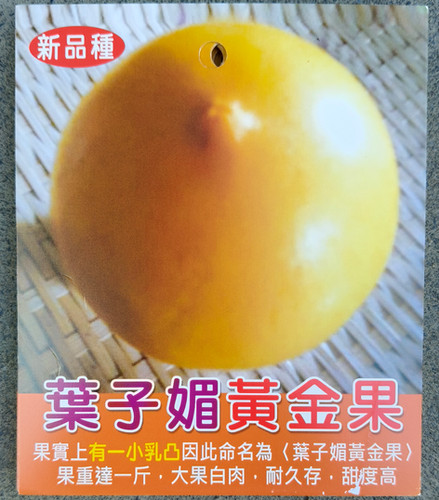 アビウ(Pouteria caimito) | My Site