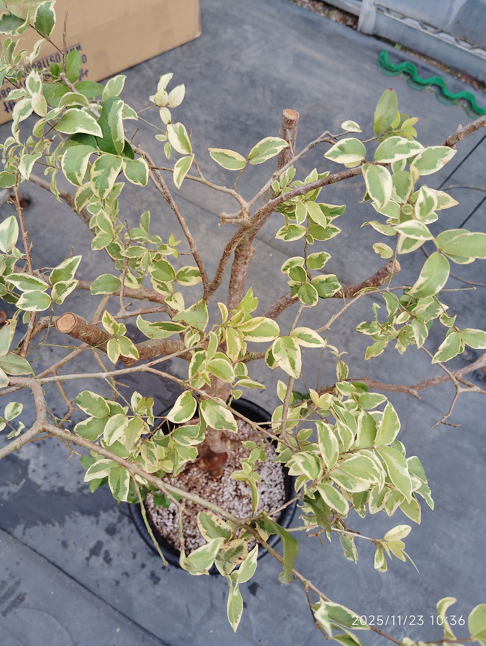 All Products | My Site