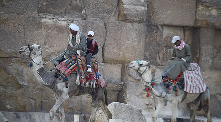Camelos Gizé