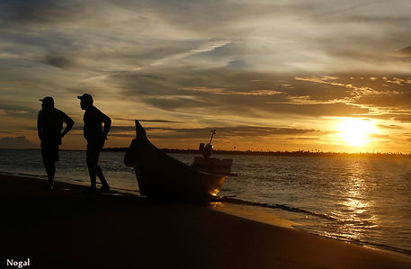 Pontal do Peba dicas viagem