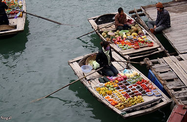 Vietnam barco dicas viagem