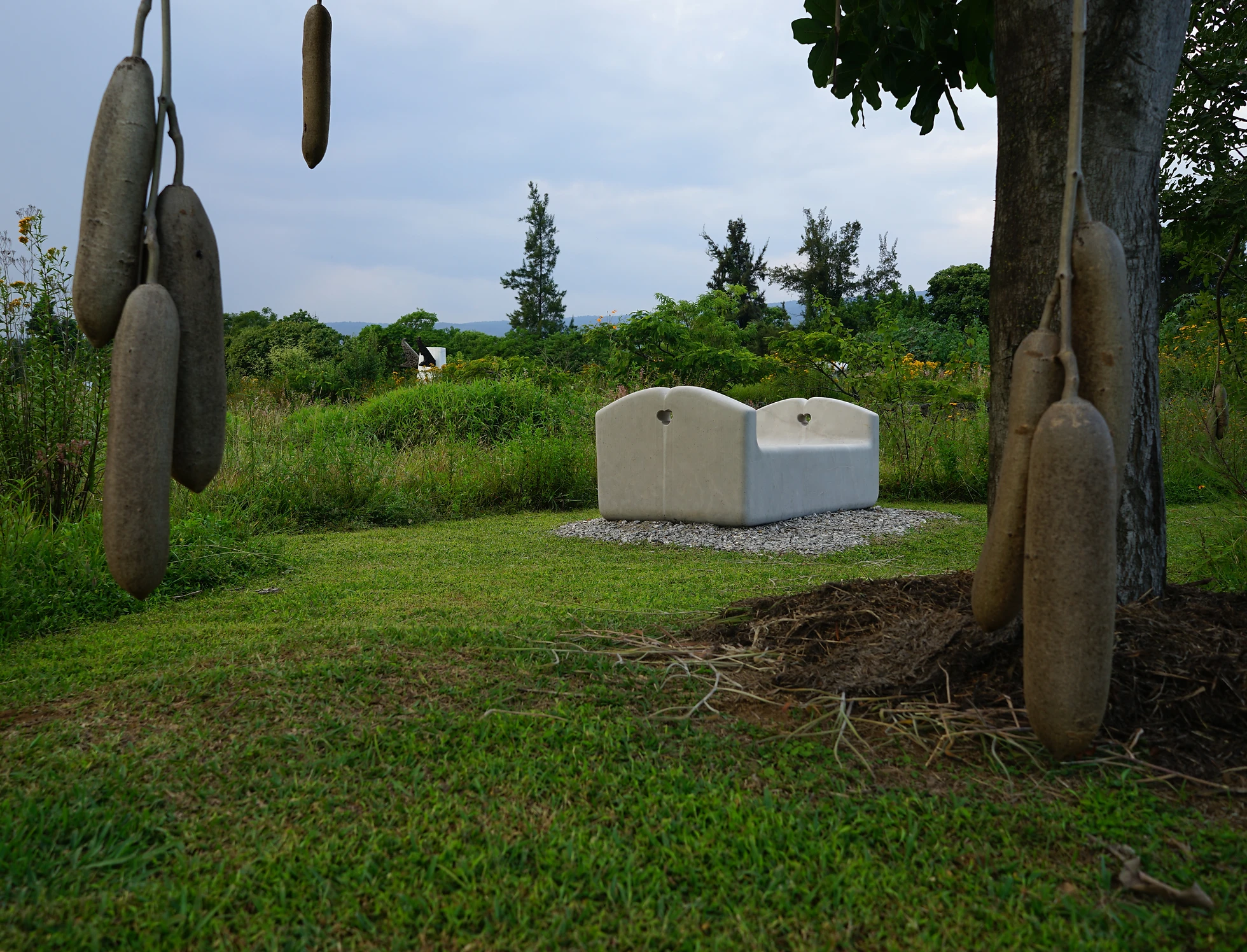 Dilao Campo escultórico