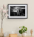 Thumbnail: Arkouda logs print framed on a beige wall. Black-and-white photography by George Tatakis.