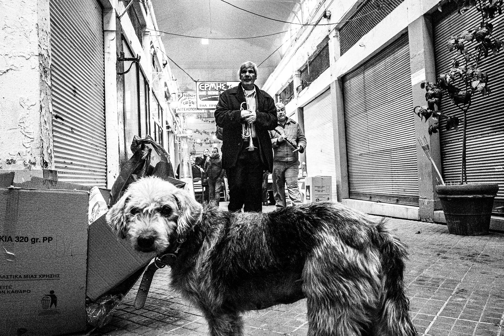 Musicians round Kapani market, Pagan Christmas customs of Northern Greece, by photographer George Tatakis