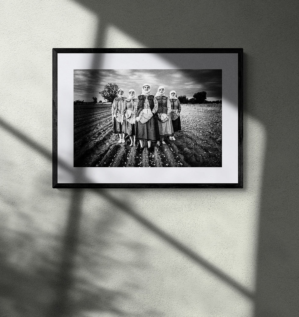 Thumbnail: Garlic Field Vyssa print framed on a grey wall. Black-and-white photography by George Tatakis.