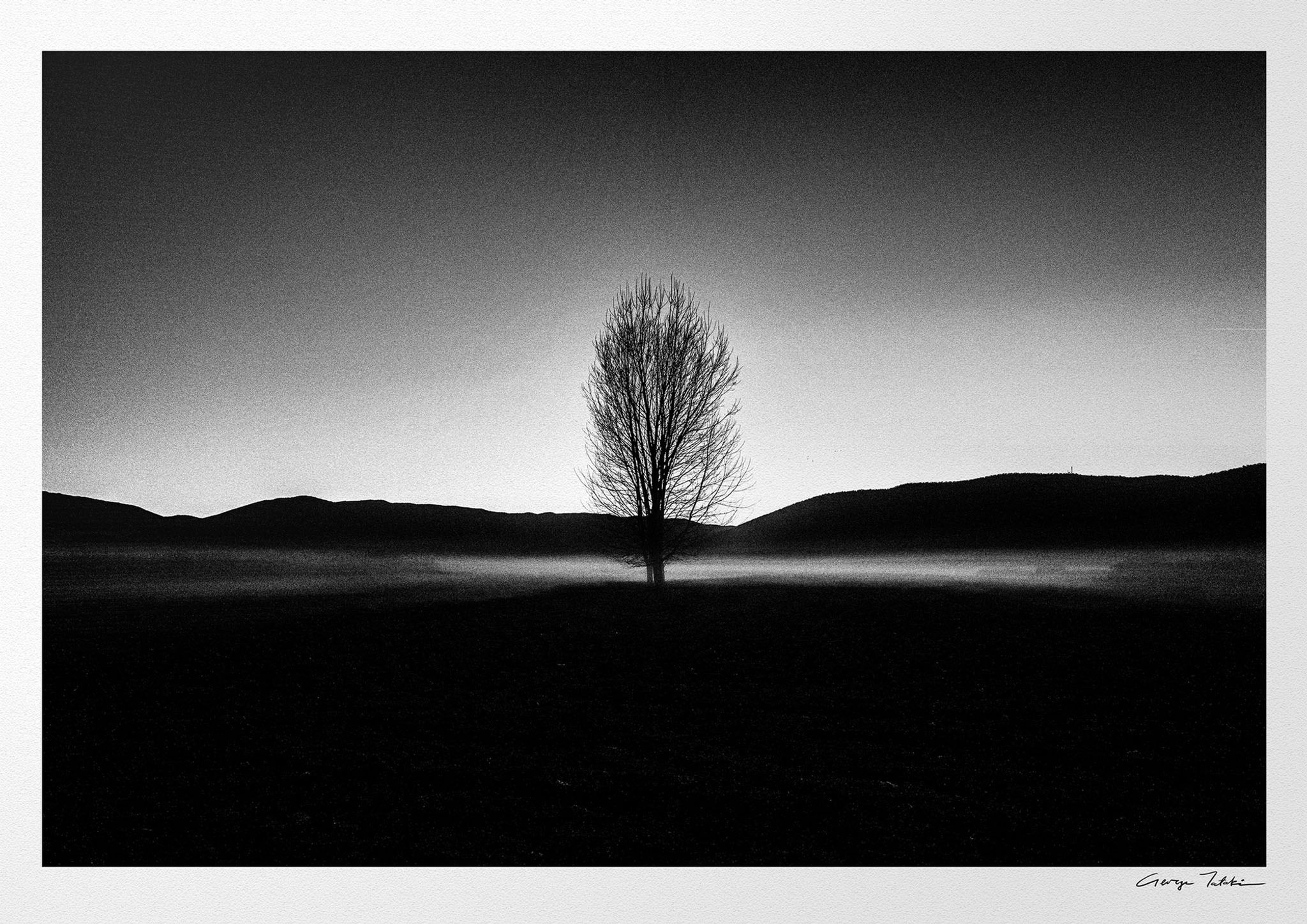 Tree and Fog print. Black-and-white photography by George Tatakis.