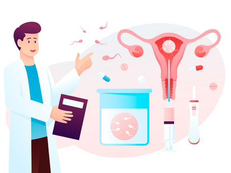 fertility donation questions