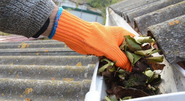 A hand wearing an orange glove pulling leaves out of a gutter