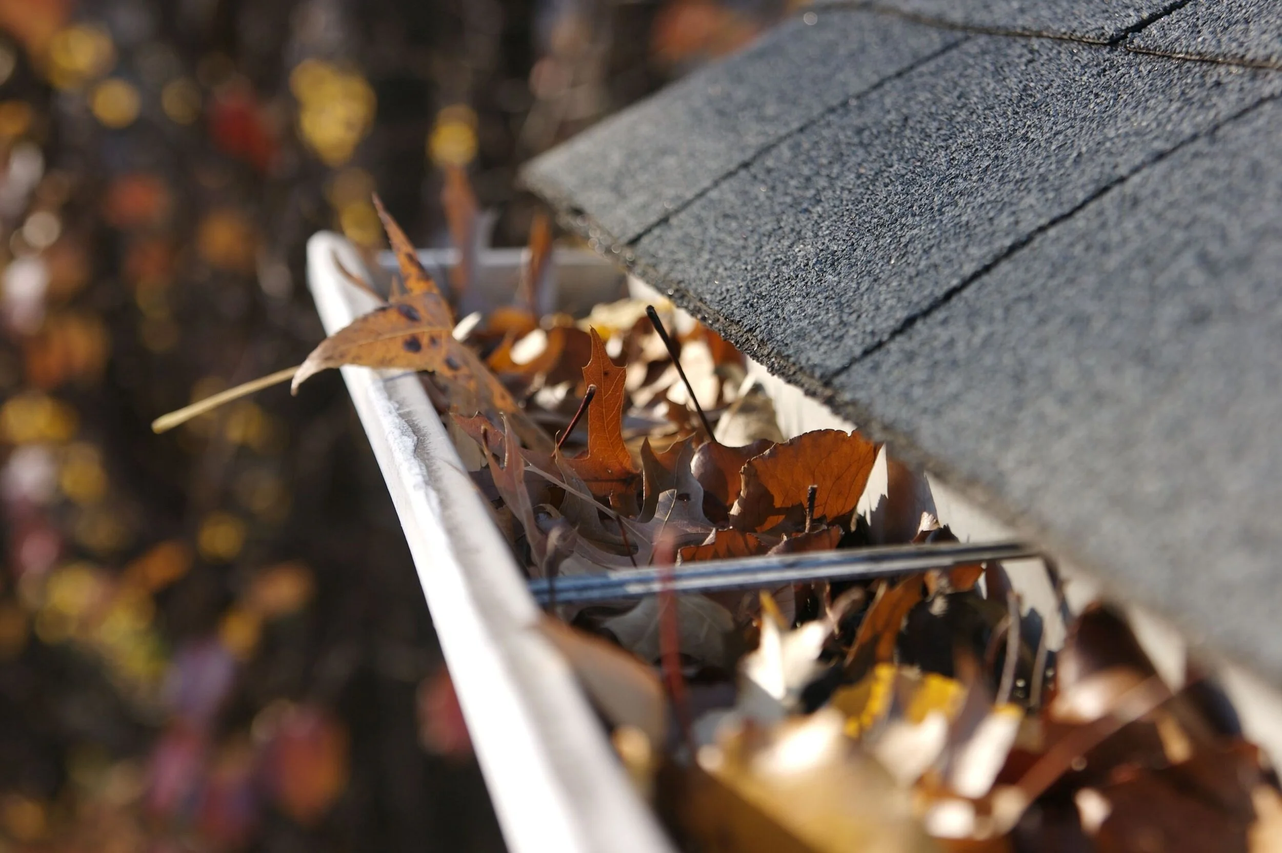 gutter full of fall leaves