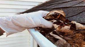 White glove hand grabbed dead leaves out of a gutter