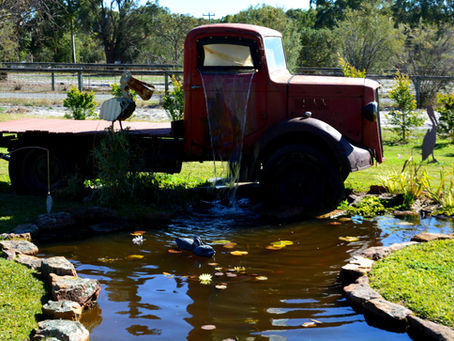 Transform Your Backyard: The Art of Integrating Hardscaping with Softscaping