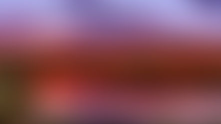 Mornington Station in the Kimberley