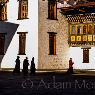 Monks of Thimpu Dzong in Bhutan