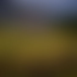 Tasmania Photo Tour 2018