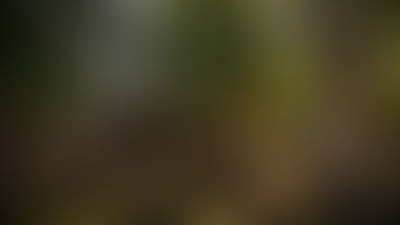 Photographic tour to Vietnam and Cambodia Information session Jan 24