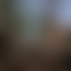 Temples of Angkor in Cambodia