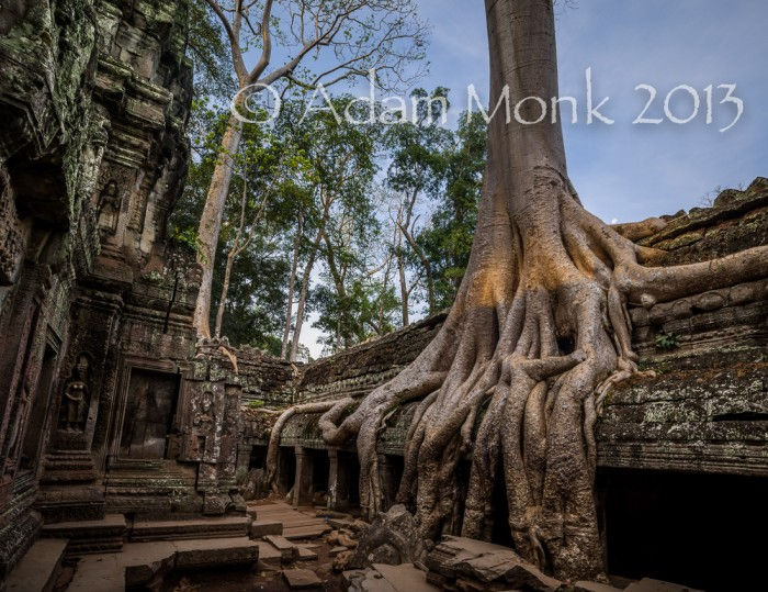 Ta Prohm Temple in the Angkor ruins