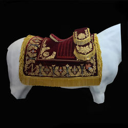 napoleon saddle.jpg