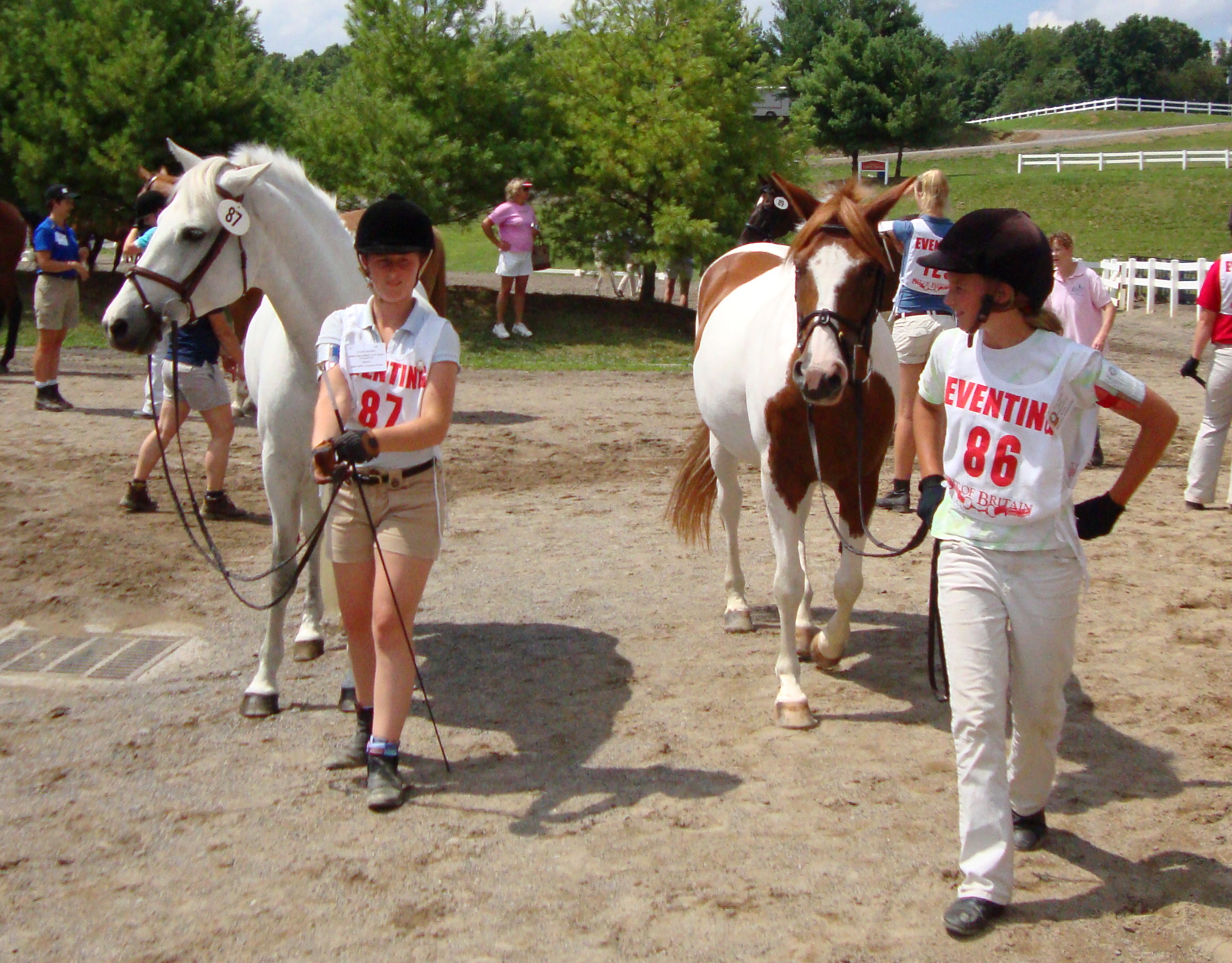 Horse trainers, riding instructors, west rupert, vt oronacah farm