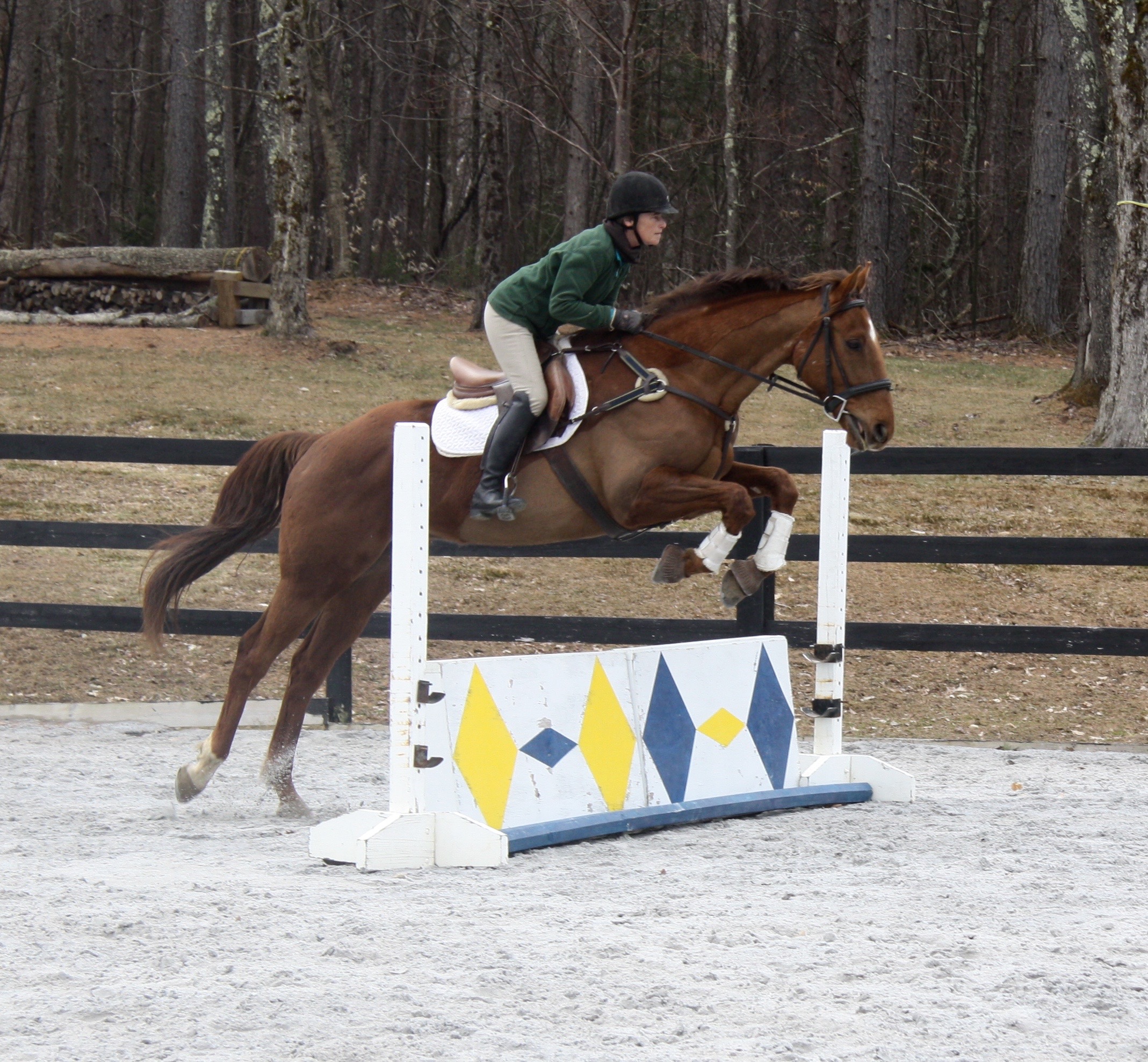 Horses for sale, west rupert vermont, oronacah farm equestrian