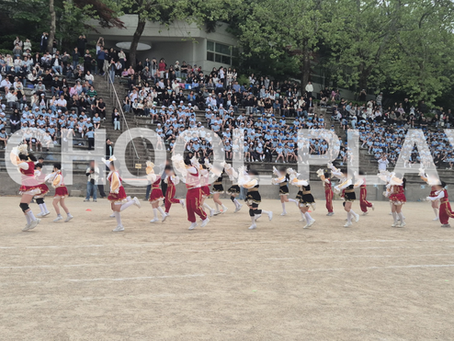 홍익대학교사대부속초등학교 운동회