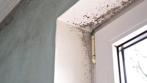 The Link Between Mold Exposure and Endometriosis Treatment in Functional Medicine