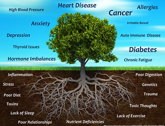 Get to the Root of Your Chronic Disease with Functional Medicine