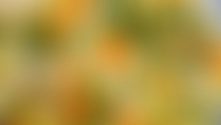 Lemon Garlic Chicken Stew