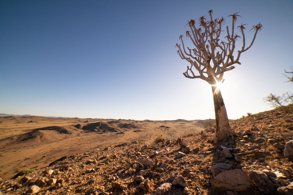 5 Things to do in Namibia
