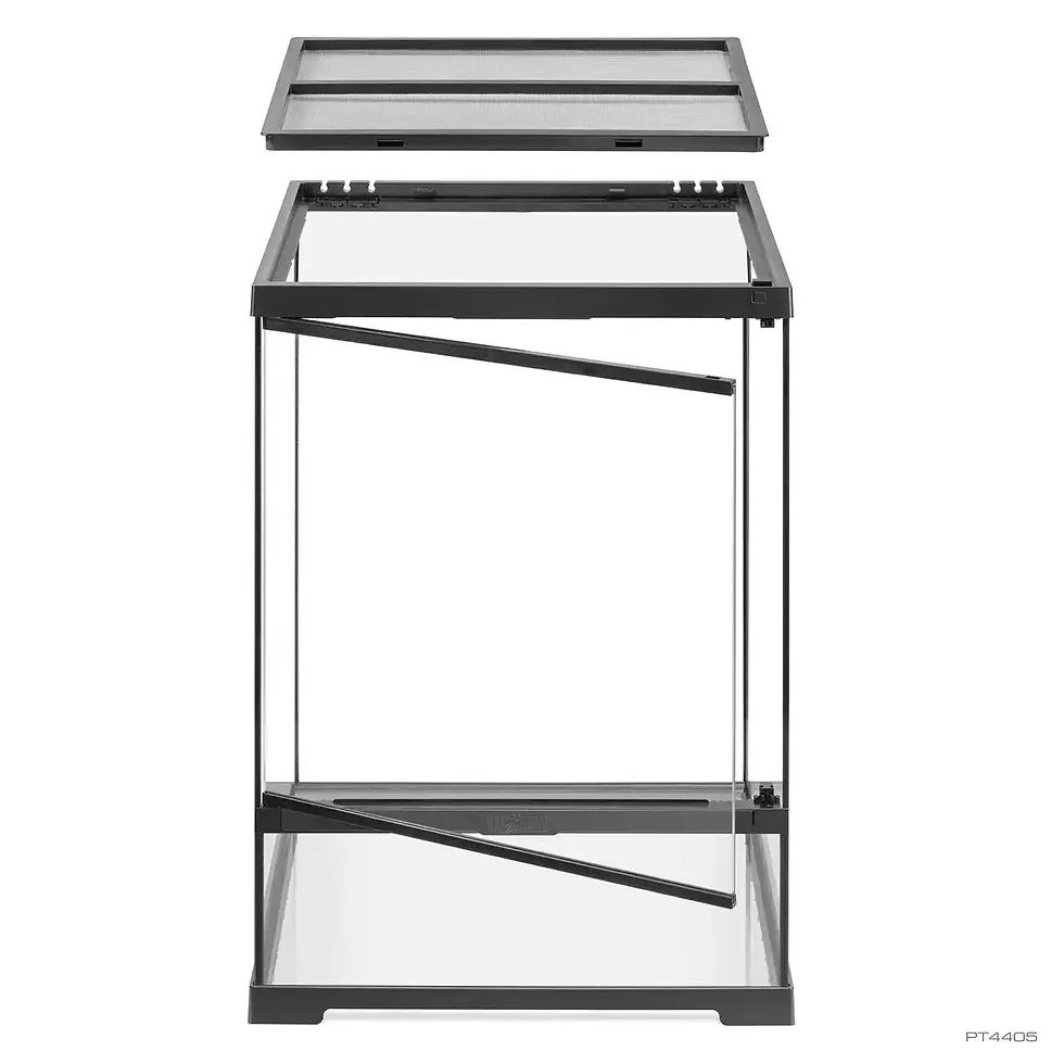 Thumbnail: Small Terrarium Kit