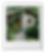 Sukjai-polaroid.png