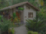 e490f838-7a7b-4ad9-bd72-9c38bd493e03_edited.jpg