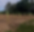 IMG_6156_JPG_edited.png