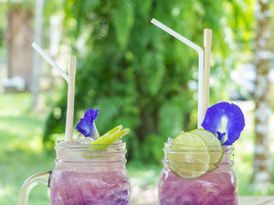 Red, White & Blue Teas!