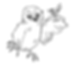 Drunk%20Owl%20copy%20(2)_edited.png