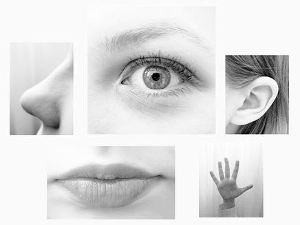 5 Tips For 5 Senses