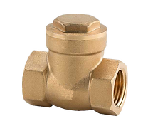 BRASS CHECK VALVE.png