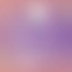 Did you Attend One of Medea's Book Talks? Take our survey Below!