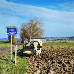 Hike La Roche (11).jpeg