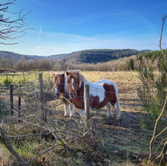 Hike La Roche (7).jpeg