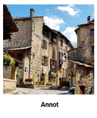 Annot.jpg