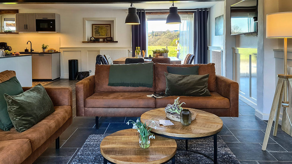 Durbuy Nature - zicht op de living.jpg
