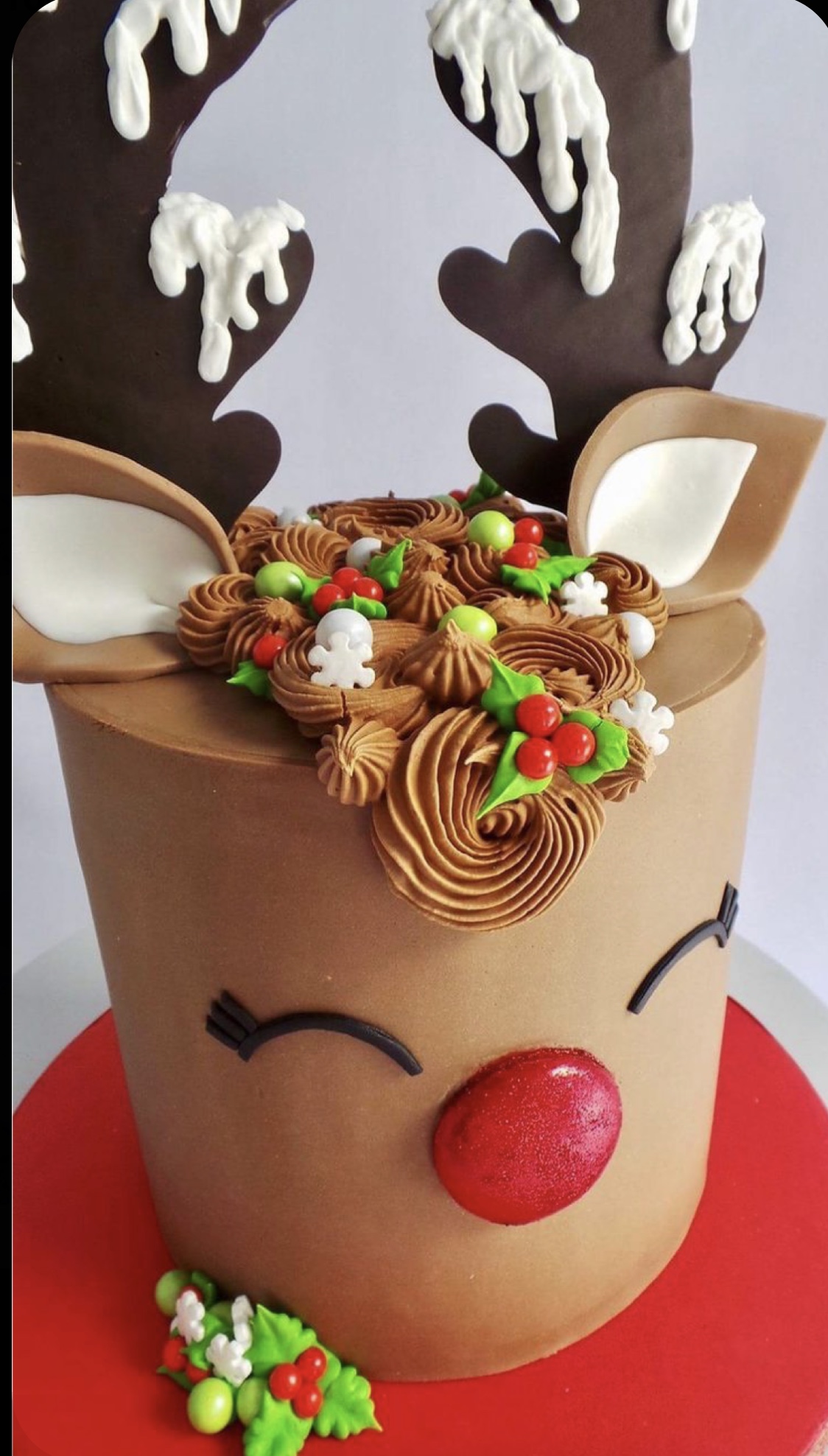 Reindeer Cake Decorating Class 201 6 PM