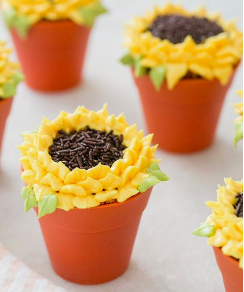 Terre Cotta Pot Painting Cupcake Decorating