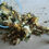 Thumbnail: Dandelion Daiquiri Hay Topper